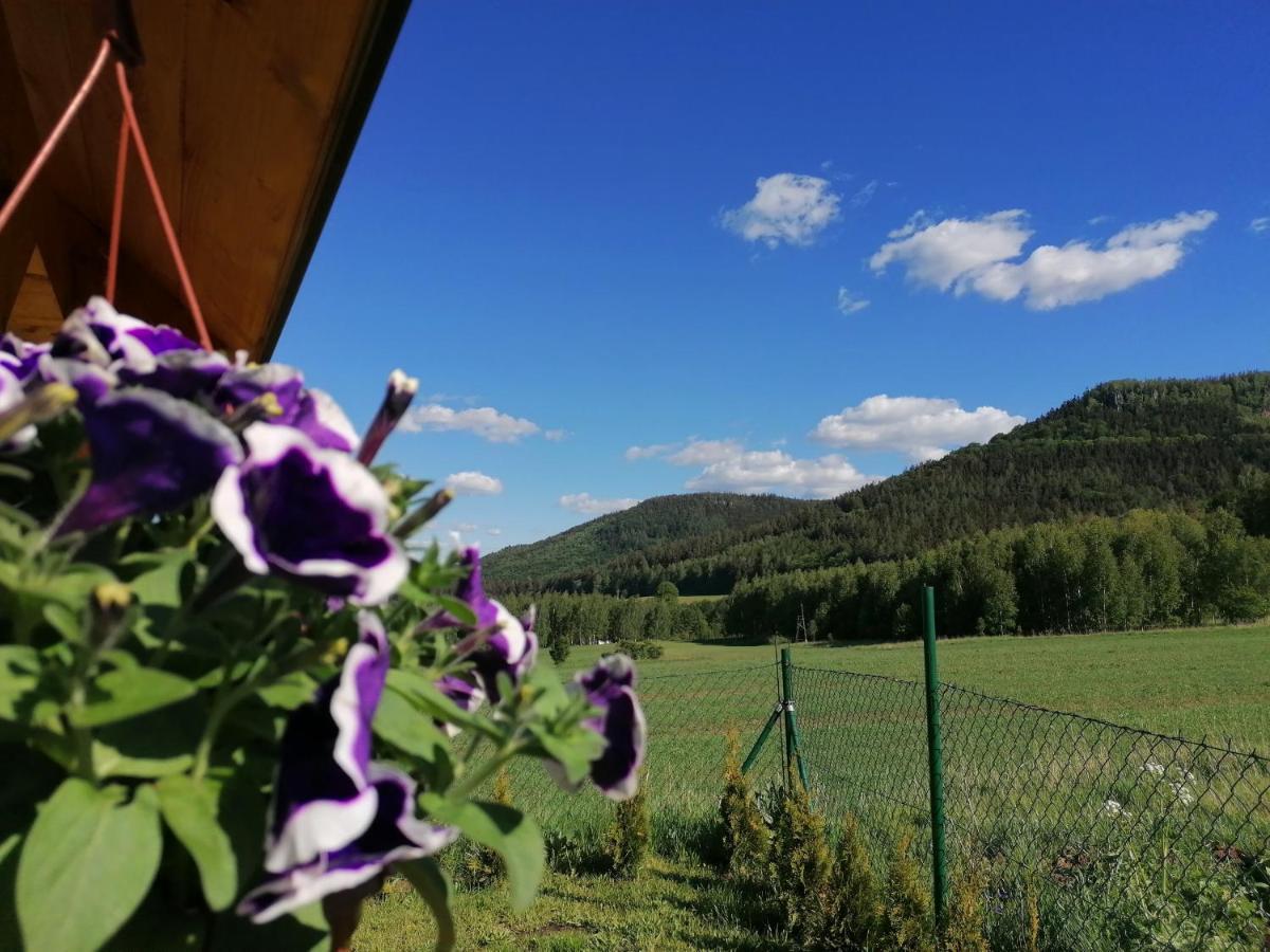 Domki Pod Derkaczem Radkow Exterior foto